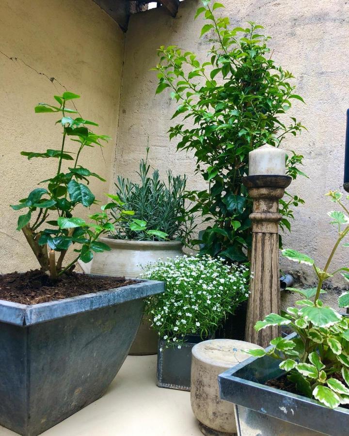 Le Jardin Wilson Apartment ดีจอง ภายนอก รูปภาพ